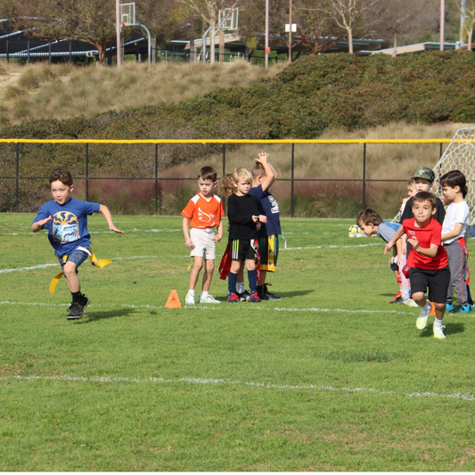 Flag Football Skills Clinic